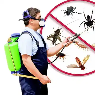 pest control Woodstown